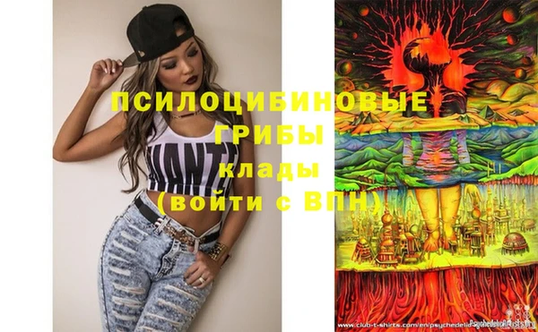 твердый Каменногорск