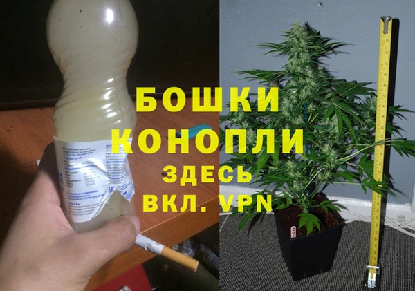 твердый Каменногорск