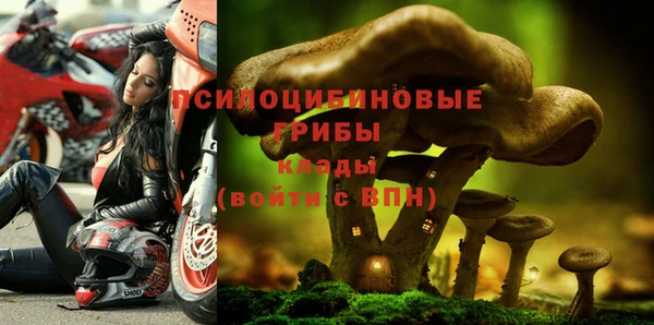 бошки Каменка