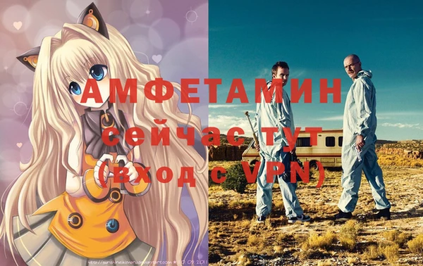 твердый Каменногорск