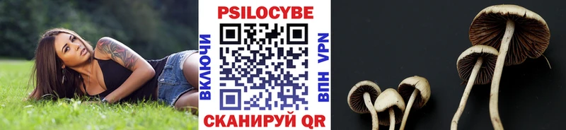 Псилоцибиновые грибы прущие грибы Купить где Звенигород
